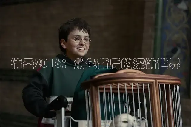 被窝网电影在线观看电视剧高清免费